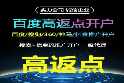 百度竞价账户管理攻略：实战案例与技巧分享