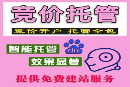 SEM推广托管，案例展示转化率提升